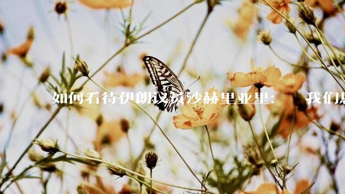 如何看待伊朗议员沙赫里亚里：  我们恳求最高领袖批准使用核武器？