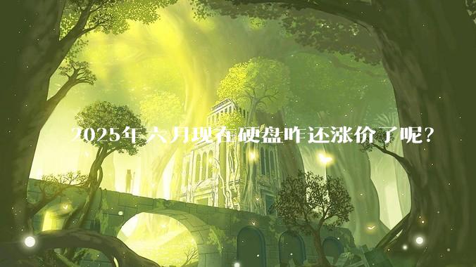 2025年六月现在硬盘咋还涨价了呢？