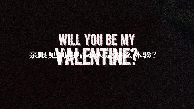 亲眼见到明星本人是什么体验？