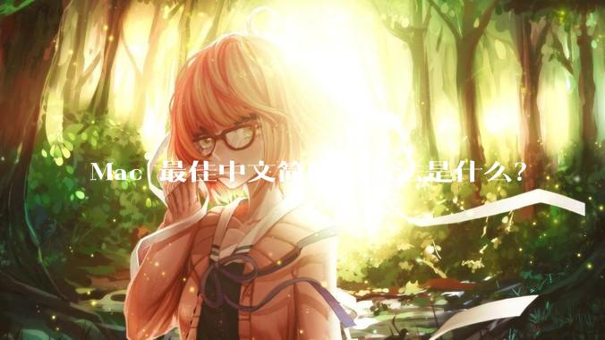 Mac 最佳中文简体输入法是什么？