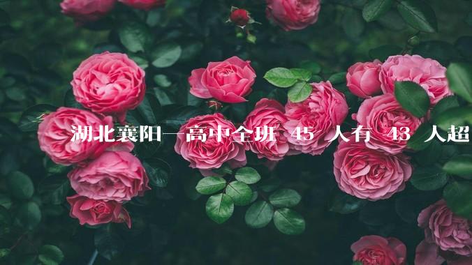 湖北襄阳一高中全班 45 人有 43 人超 600 分，这个班是怎么做到的？其成功经验是否可复制？