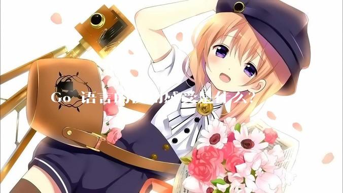 Go 语言的使用感受是什么？