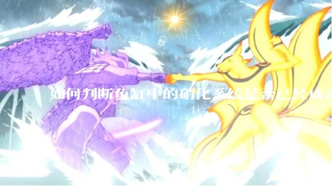 如何判断鱼缸中的硝化系统是否已经成功建立？