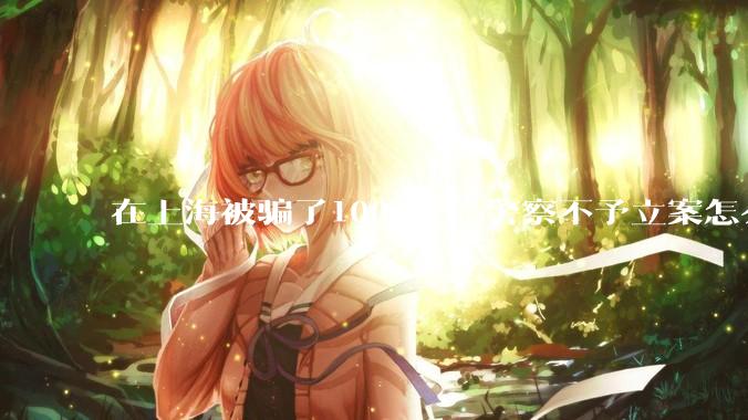 在上海被骗了100w+，警察不予立案怎么办？