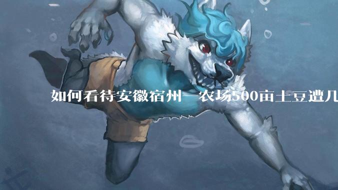 如何看待安徽宿州一农场500亩土豆遭几百名村民哄抢，曝光后民警要求种植户删帖？法不责众？如何有效维权？