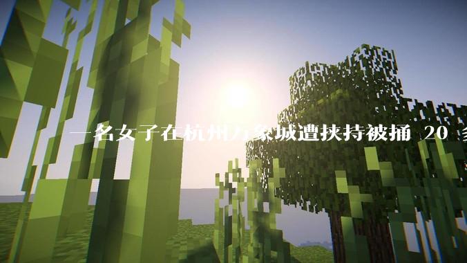 一名女子在杭州万象城遭挟持被捅 20 多刀，隆胸***体救了一命，这反映出哪些公共安全问题？