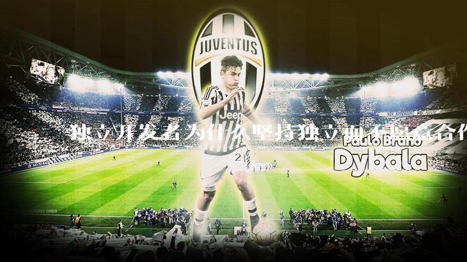 独立开发者为什么坚持独立而不愿意合作？